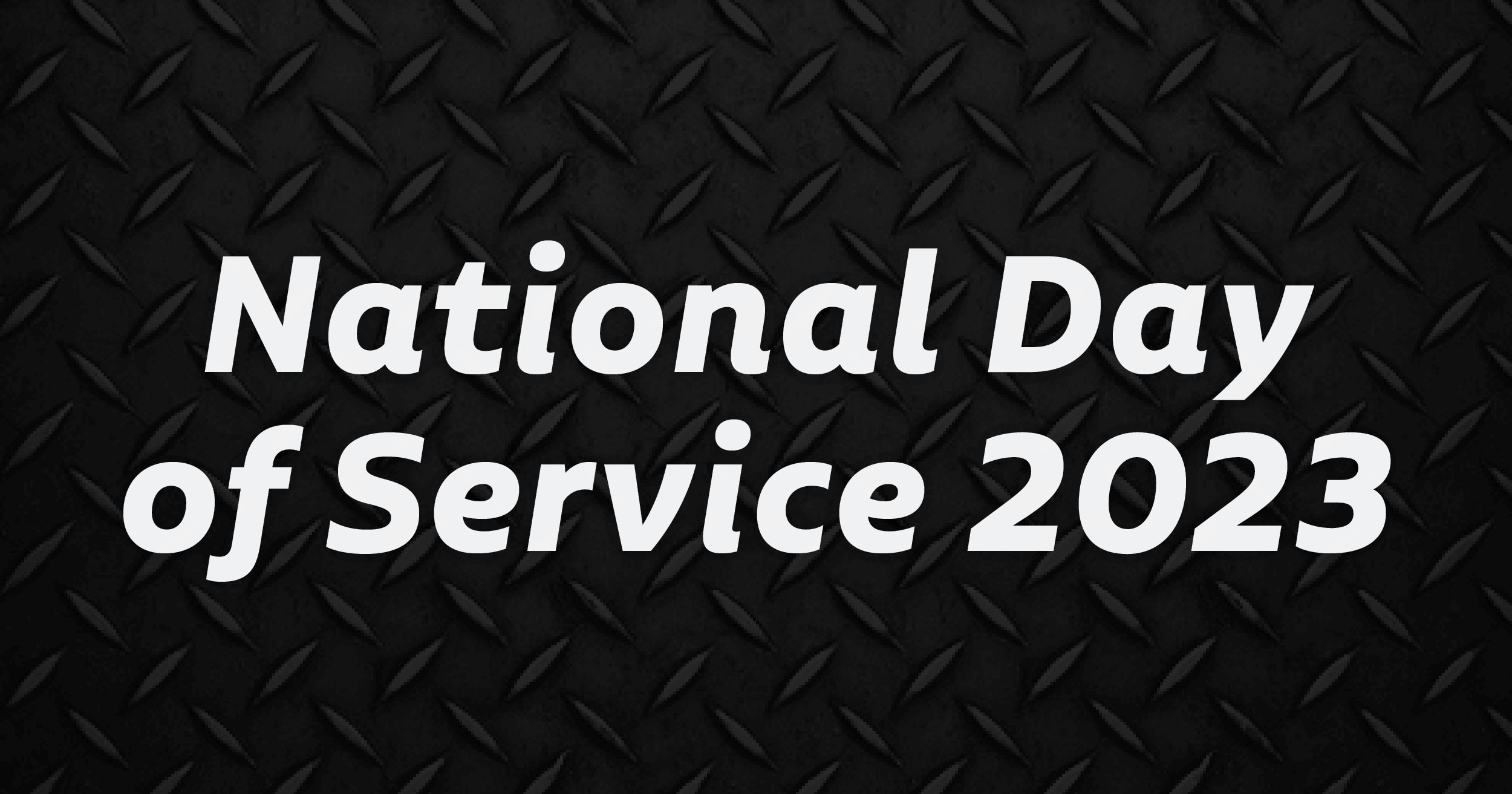 MLK Day of Service